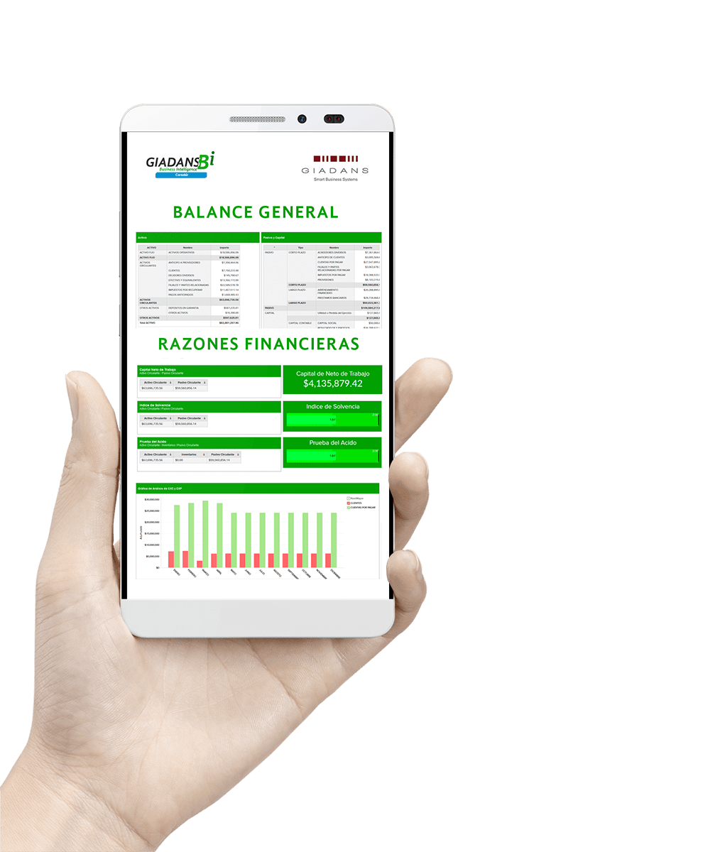 Pantalla GIADANSBi Contable